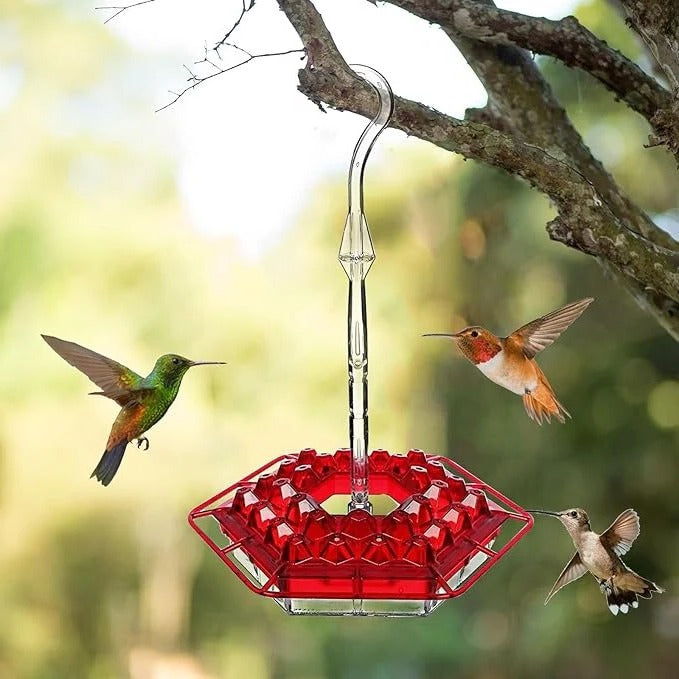 Ant Proof Hummingbird Feeder with Outdoor Hanging Perch | Premium