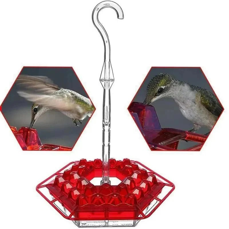 Ant Proof Hummingbird Feeder with Outdoor Hanging Perch | Premium